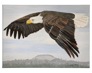 Bald Eagle Flying bent wing - 13" x 18" Gallery Wrapped Canvas