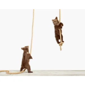Climbing Cubs Print