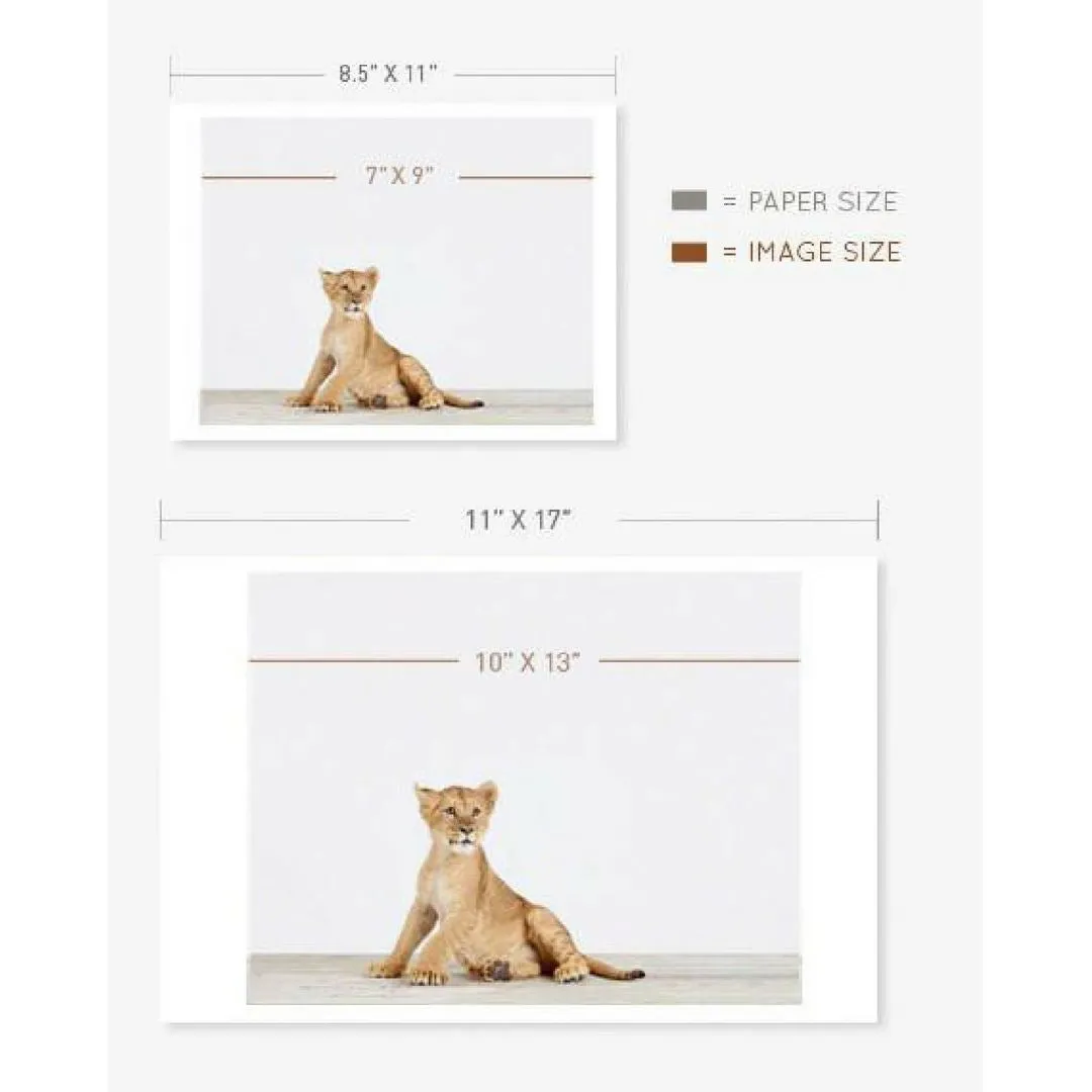 Climbing Cubs Print