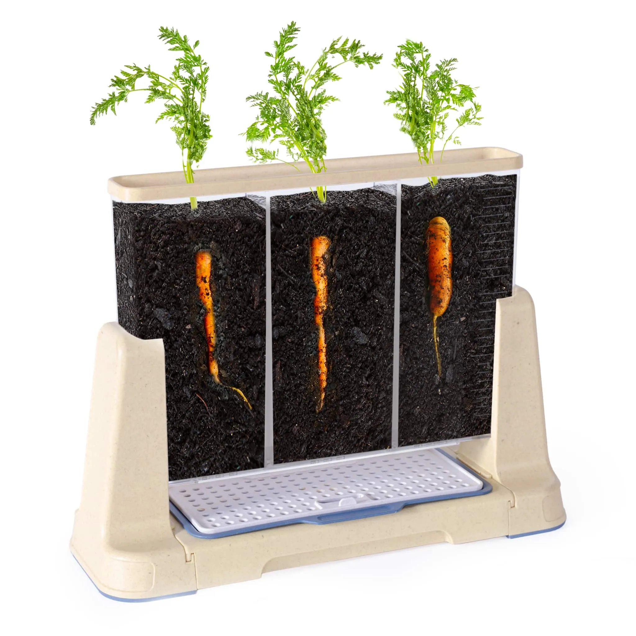 Explore and Discover 3 Section Root View Planter