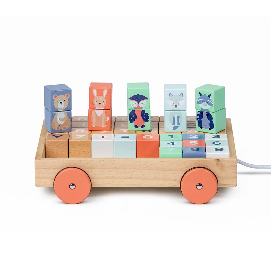 Moover Wooden Assorted Toys