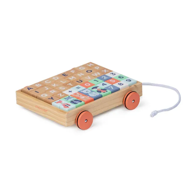Moover Wooden Assorted Toys