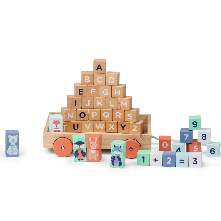 Moover Wooden Assorted Toys