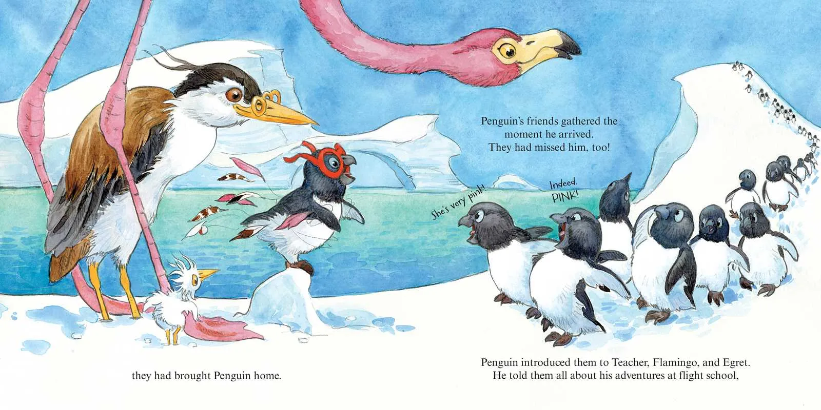 Penguin Flies Home by Lita Judge: Hardcover; 40 pages / English